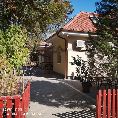 The Corner House Panzio Hotel Tata Exterior photo